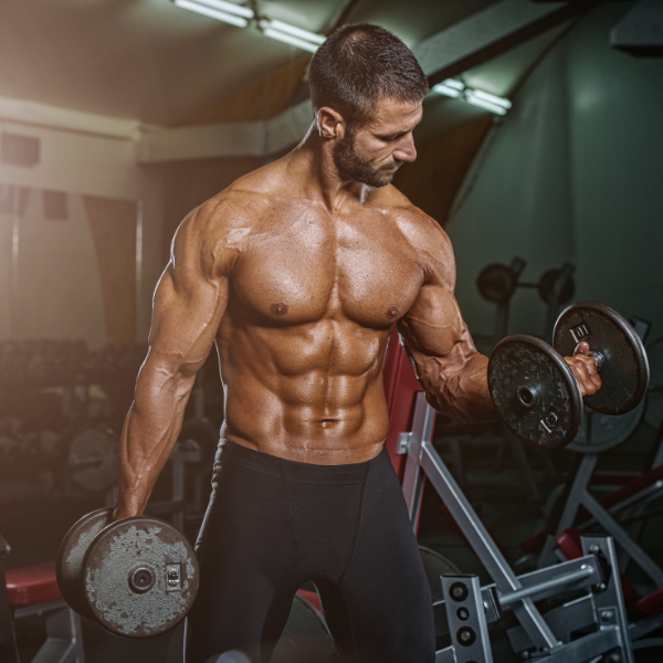 proteínas y suplementos en leon gto